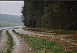 Hochwasser am Saubach