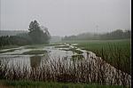 Hochwasser am Saubach