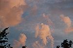 Cumuluswolken im Abendrot