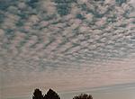 Schäfchenwolken